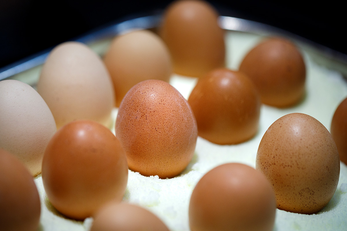 Fresh breakfast eggs in various shades of brown, decoratively presented on a bed of coarse salt.